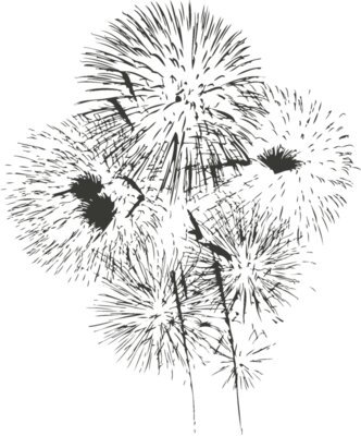 Fireworks 7