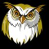 OWL HD0503 RQC