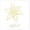 Daffodils
