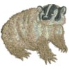 Badger